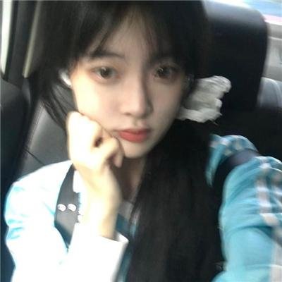 做一只鸟真不容易